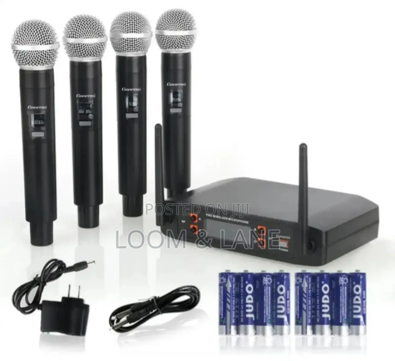 Professional Wireless Microphone
