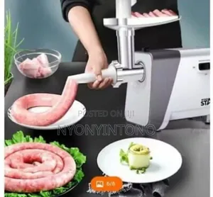 Winningstar Electric Meat Grinder.