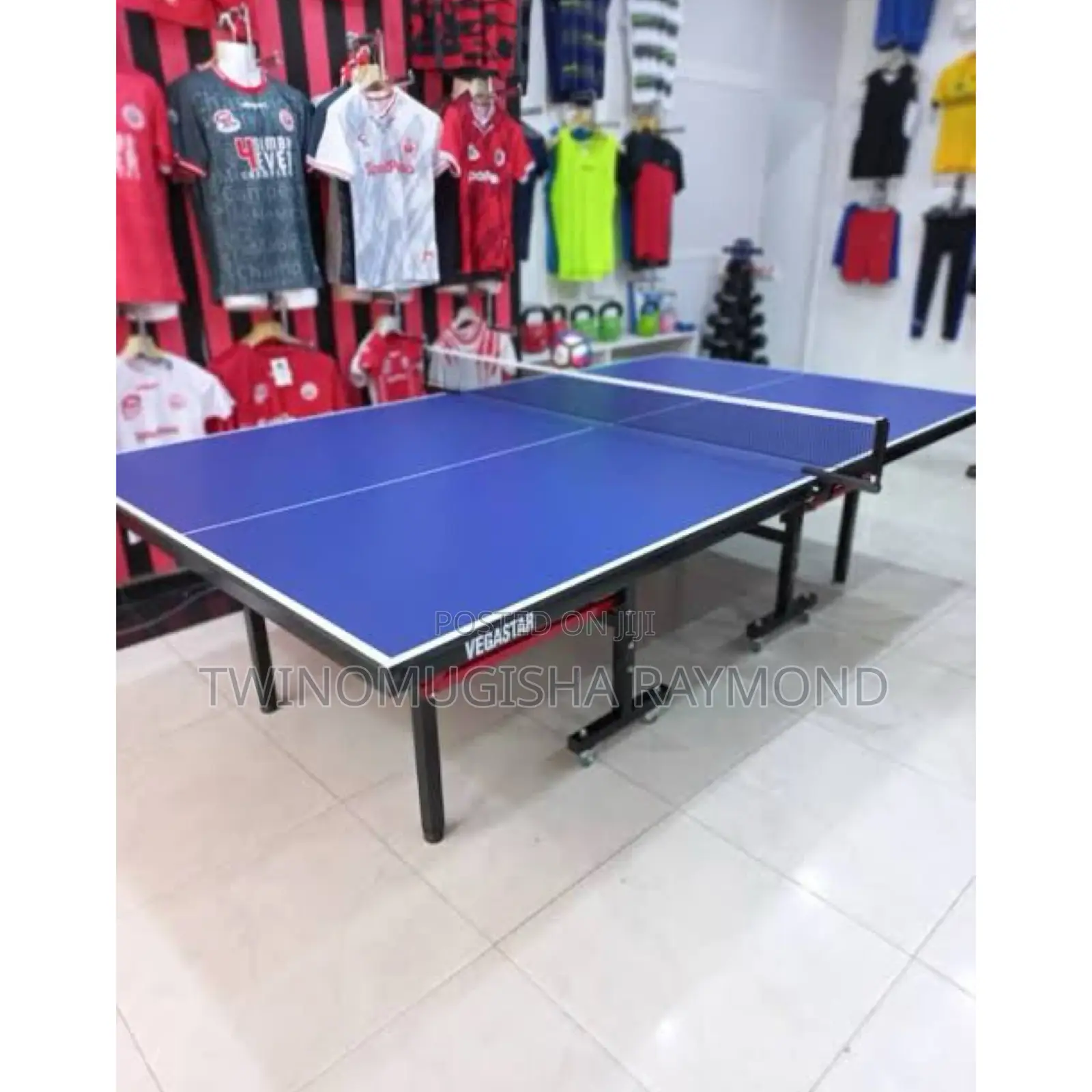 Table Tennis Full Set (Vegaster)