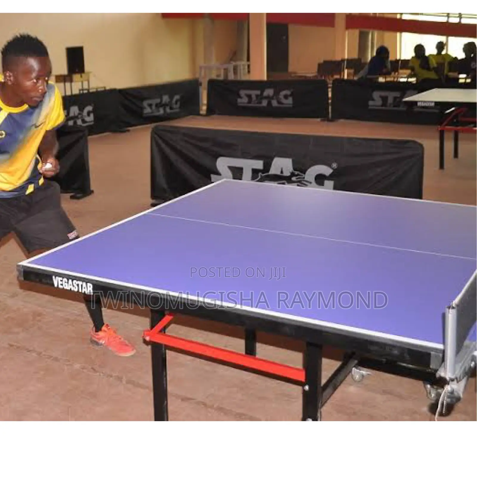 Table Tennis Full Set (Vegaster)