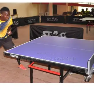 Table Tennis Full Set (Vegaster)