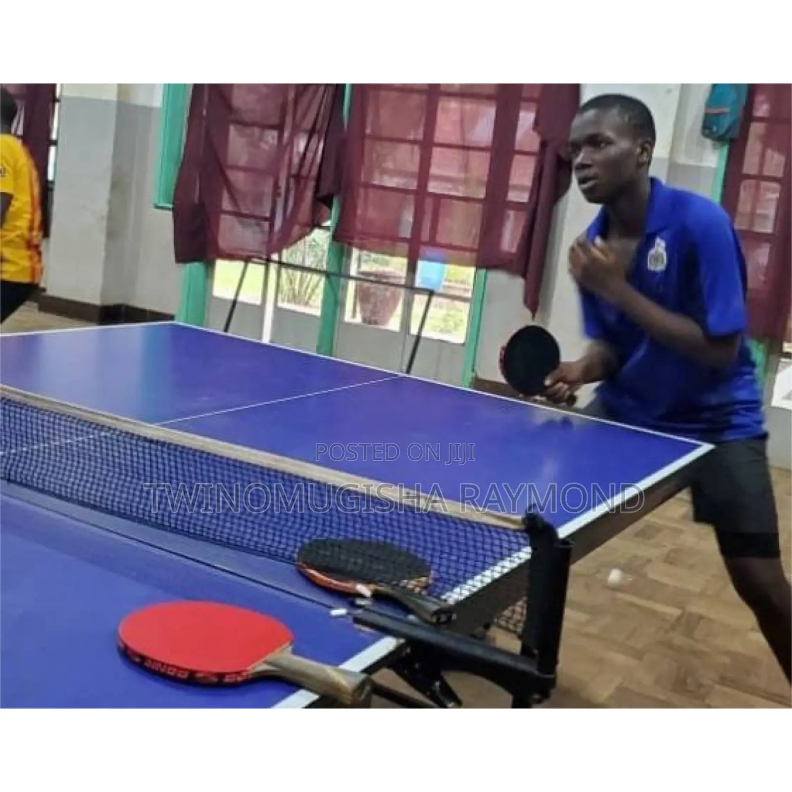 Table Tennis Full Set (Vegaster)