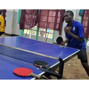 Table Tennis Full Set (Vegaster)