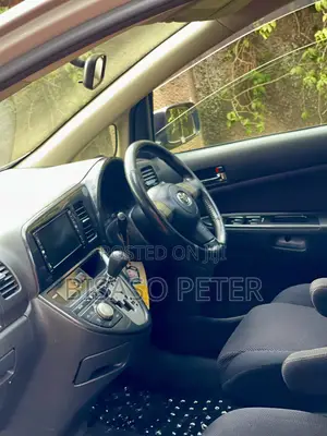 Toyota Wish 2008 Gray