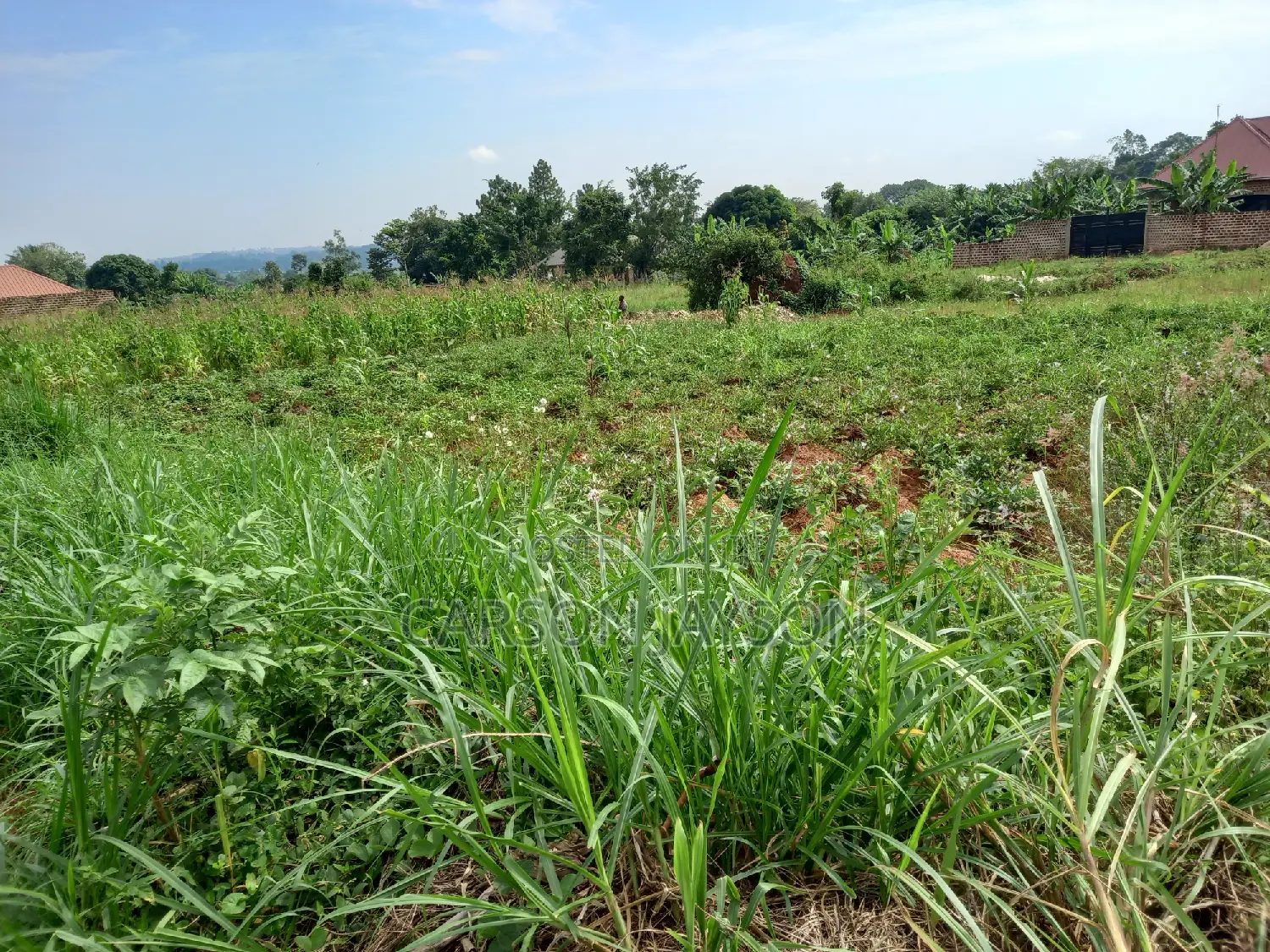 Plot For Sale In Busiika