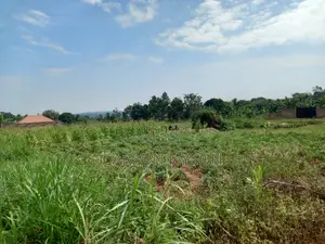 Plot For Sale In Busiika