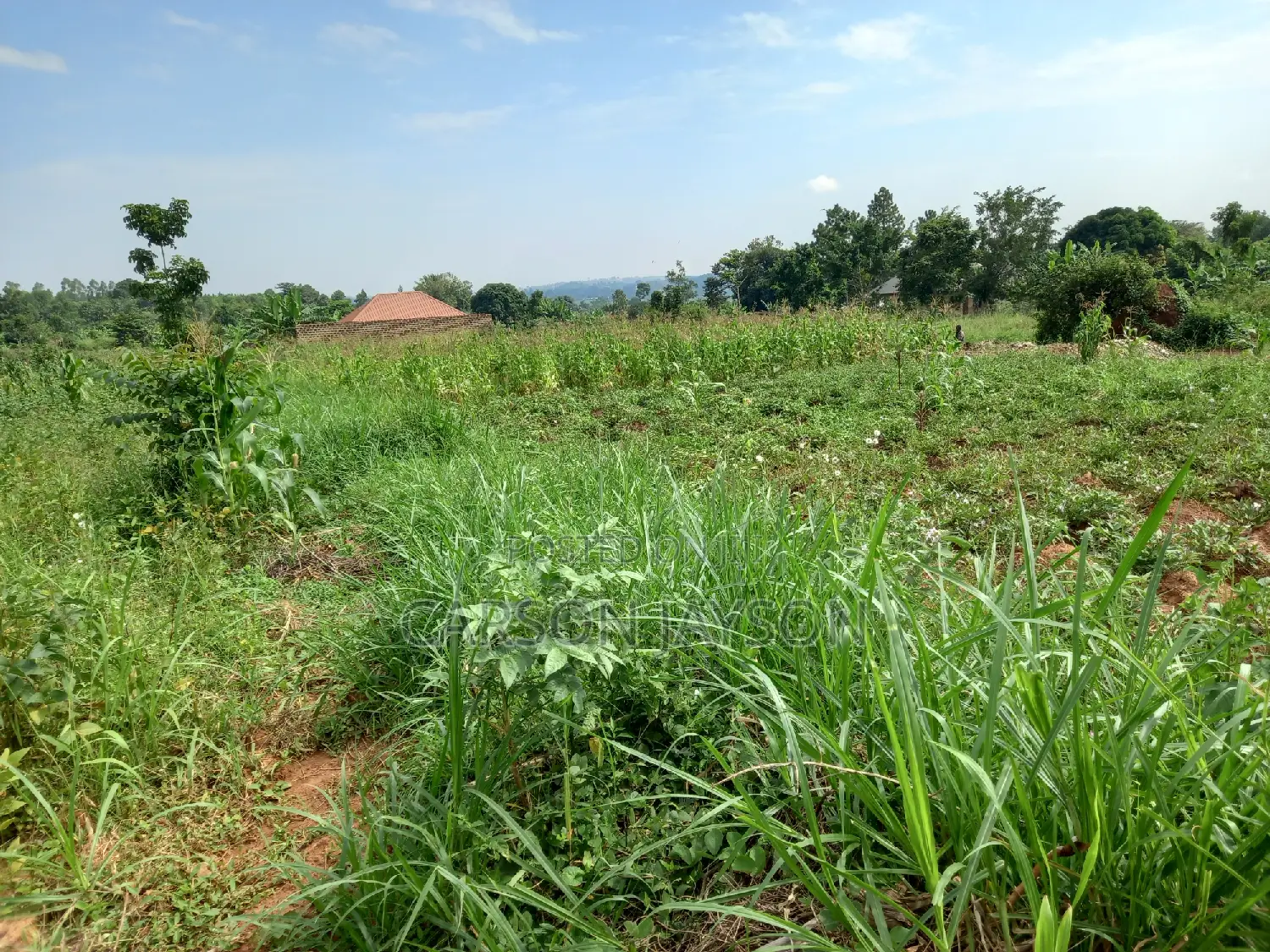 Plot For Sale In Busiika