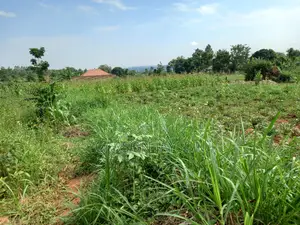 Plot For Sale In Busiika