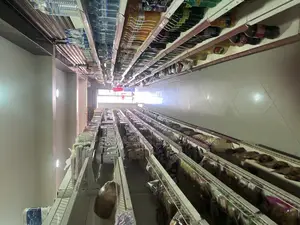 Supermarket Fully Stocked With Stock and Shelves Generator