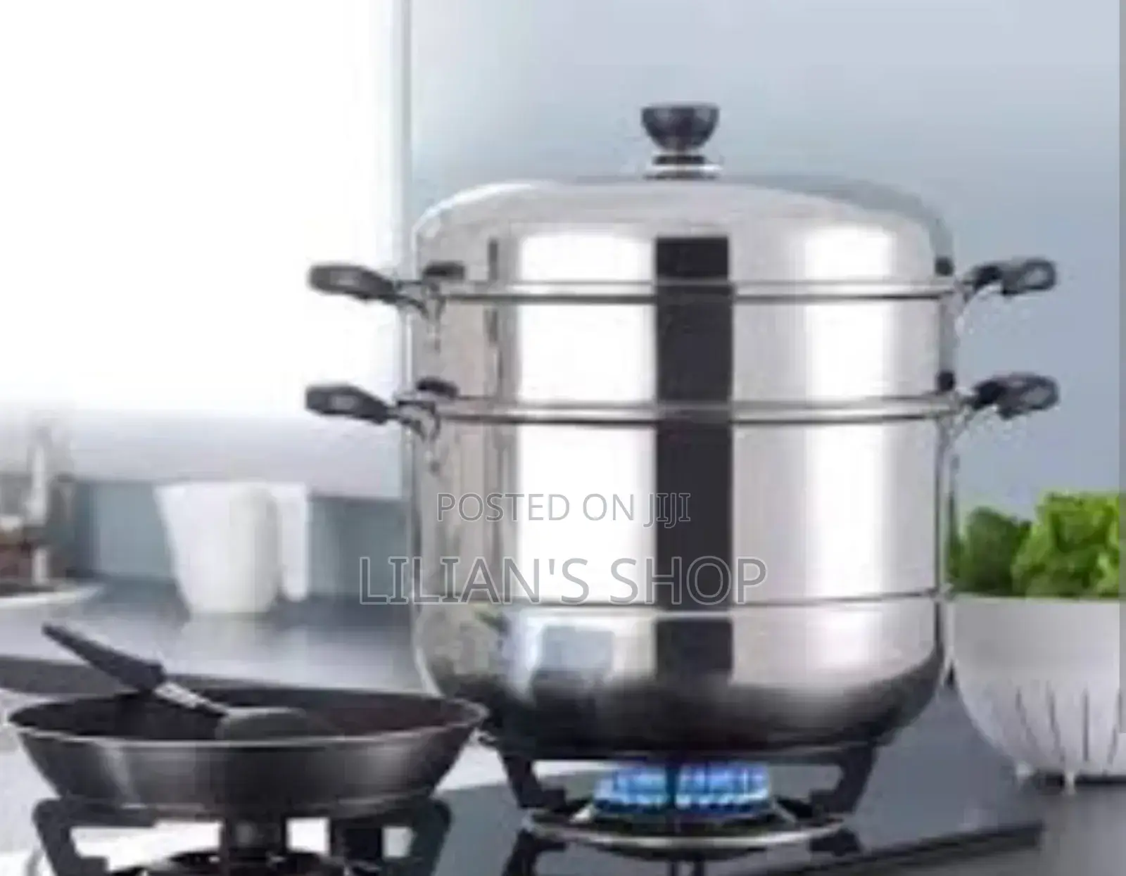 Stainless Steel 2 Layer Food Steamers
