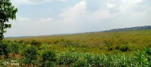 Land on Sale