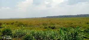 Land on Sale