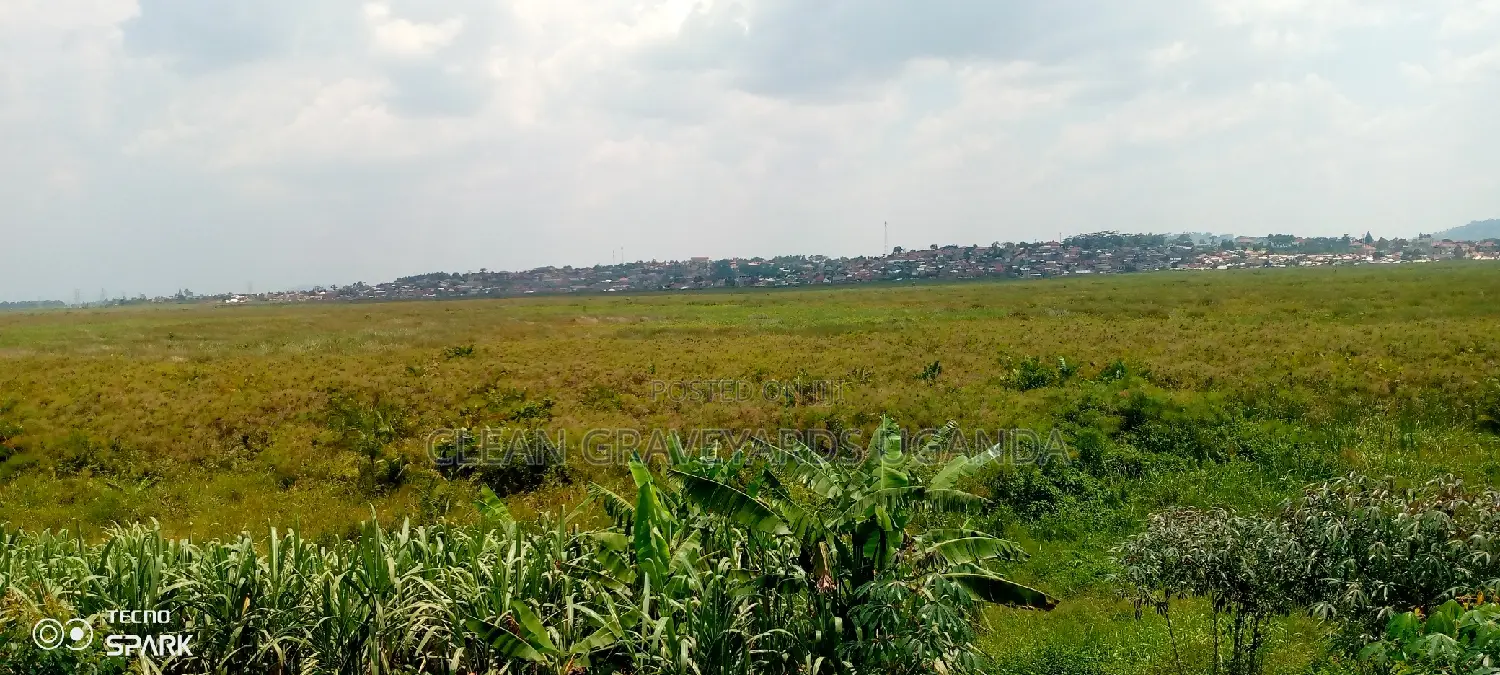 Land on Sale