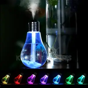 Aroma Mini Bulb Humidifier