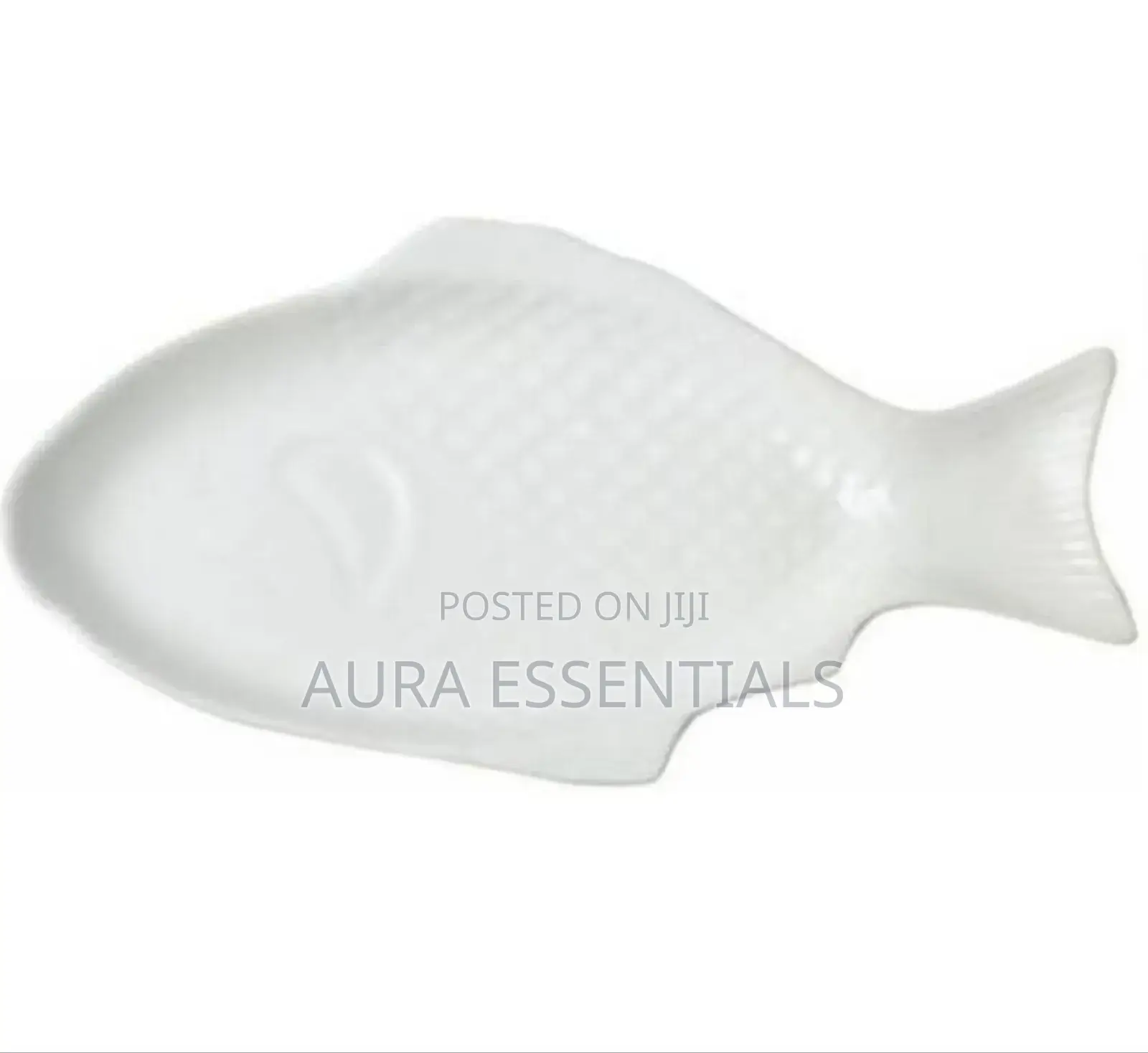 11 Inch Steak, Fish Plate Tray Dinner Platter, Bowl- White