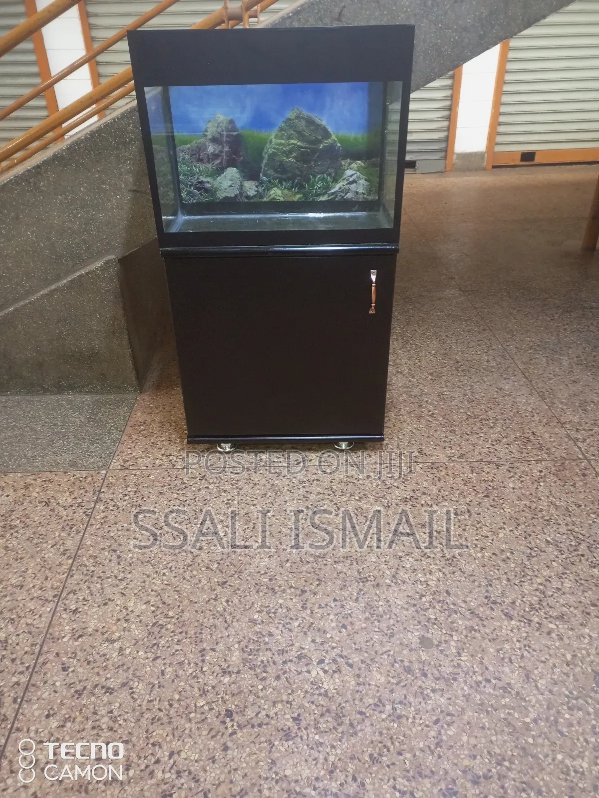 Medium Size Aquarium at Affordable Price