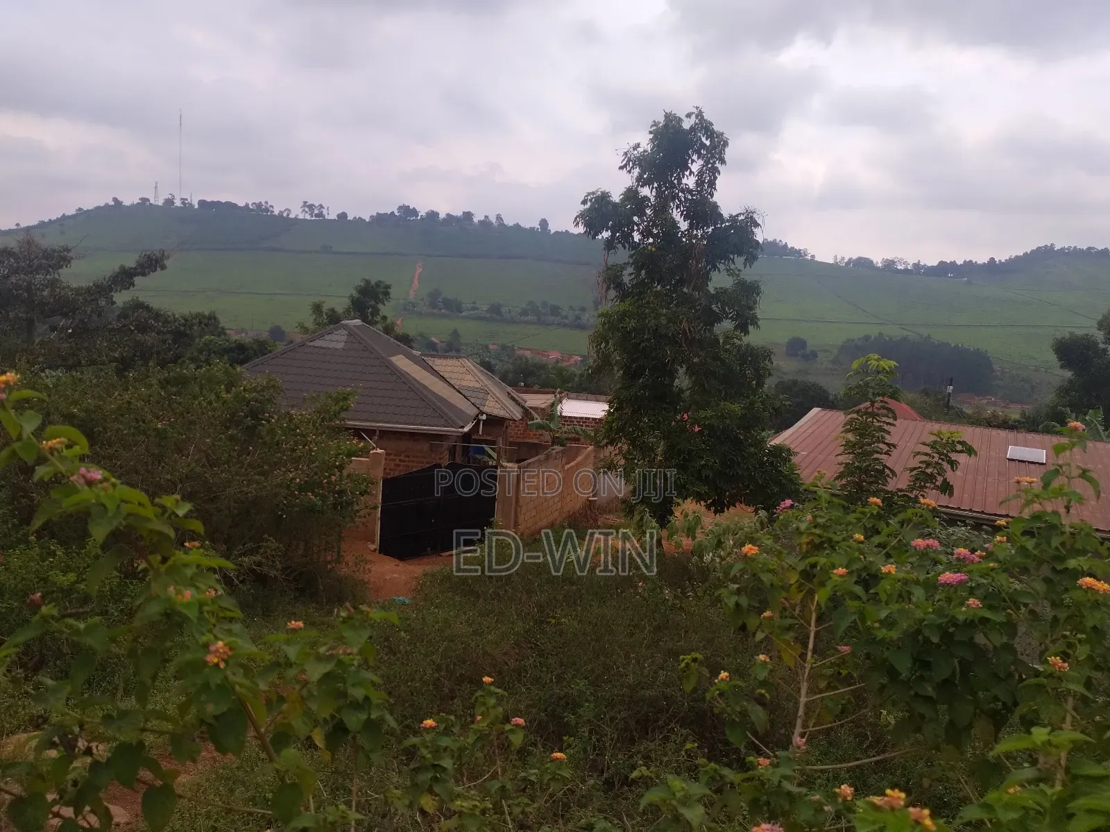 One Acres on Sale