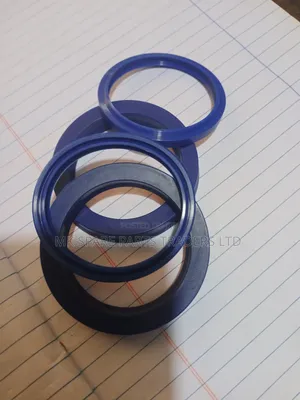 Dust Seals and Hydraulic Seals