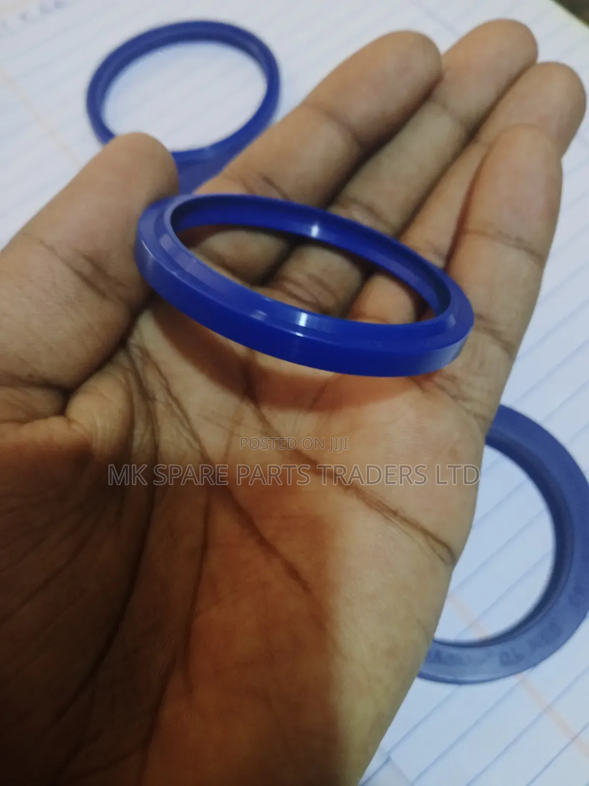 Dust Seals and Hydraulic Seals