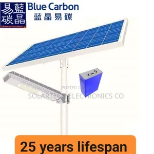 800W Blue Carbon Solar Blue Fire Lights/ Security Lights.