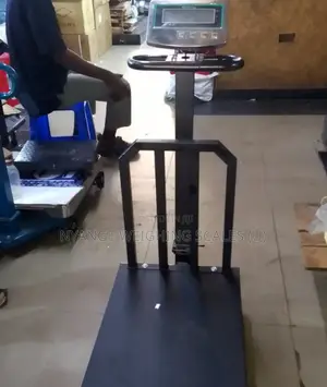 New Model Weigh Scale 500kg TCS Platform Weighing Scales