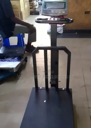 Stainless Steel Weigh Scale TCS Platform Weighing Scale