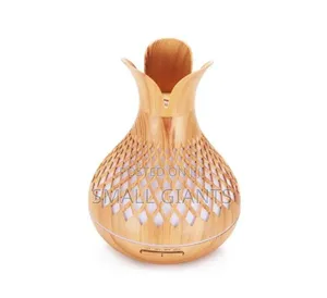 Essential Oil Aroma Diffuser Remote-Vase Flower Humidifier