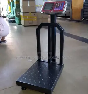 Precision Weighing Scale Price Computing Weighing Scale