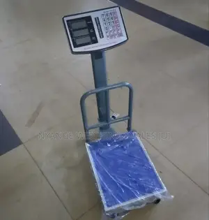 200kg Precision Weighing Scale Stainless Weigh Platform Weighing Scale
