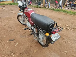New Bajaj Boxer 2024 Red