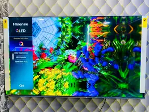 Qled Q6 Series Hisense 65inch Smart Tv