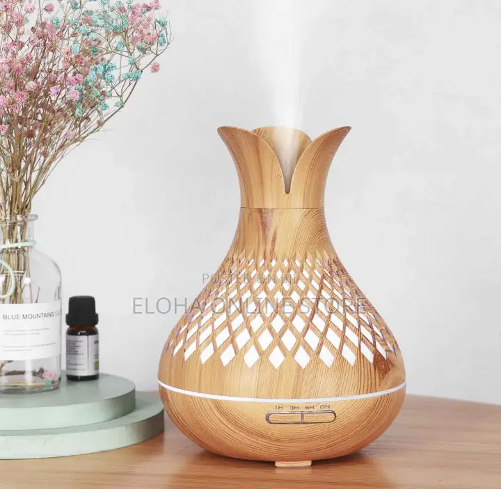 Essential Oil Aroma Diffuser and Remote Humidifier