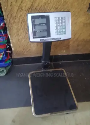Digital Weighing Scale High Precision Weigh Platform 90kg Weigh Scale