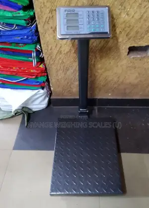 Platform Weighing Scales High Precision Weighing Scale(8)