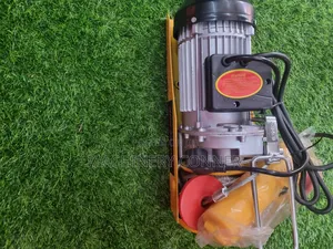 Electric Hoist 500kg