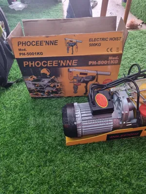 Electric Hoist 500kg