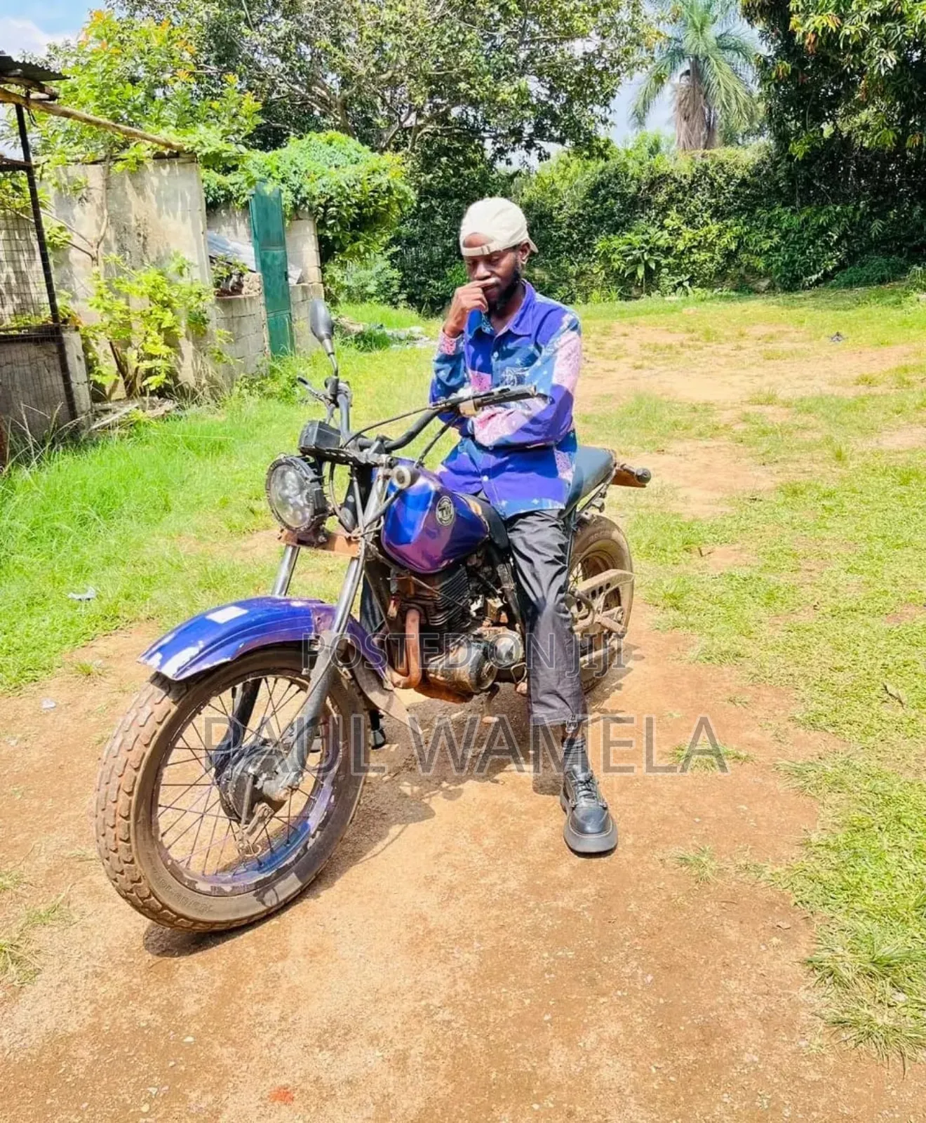 American Ironhorse Legend 2018 Blue