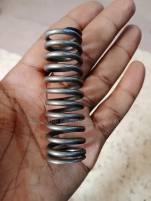 Small Springs and Coil Springs