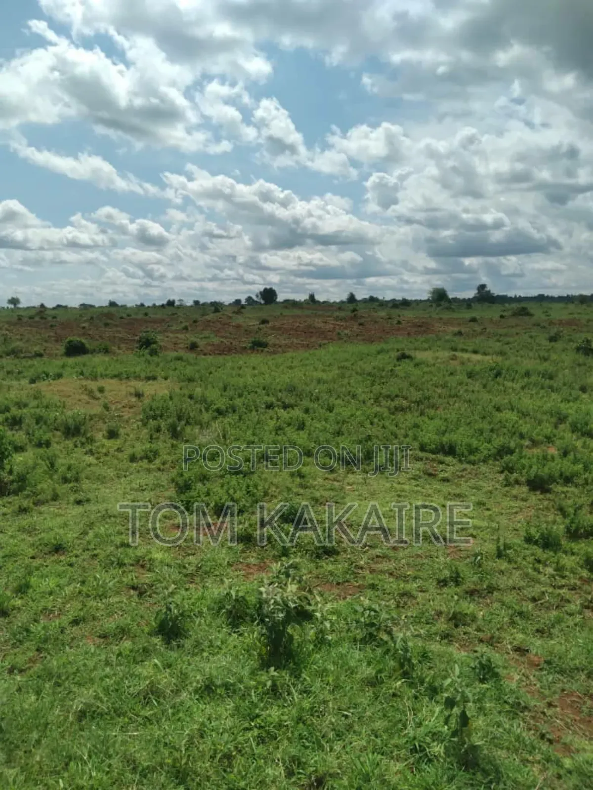 Land for Rent
