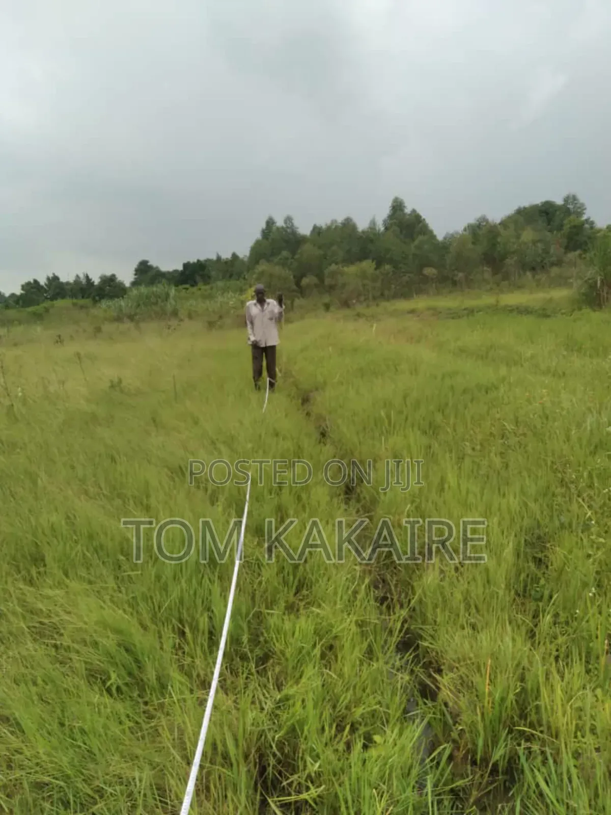 Land for Rent