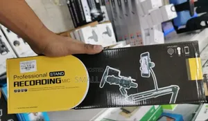 Professional Stand Recording Mic