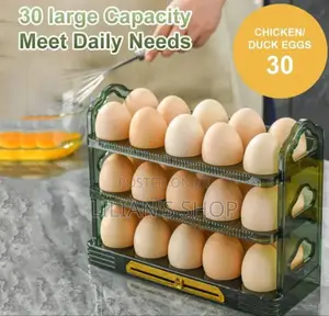 30 Eggs Storage Carrier