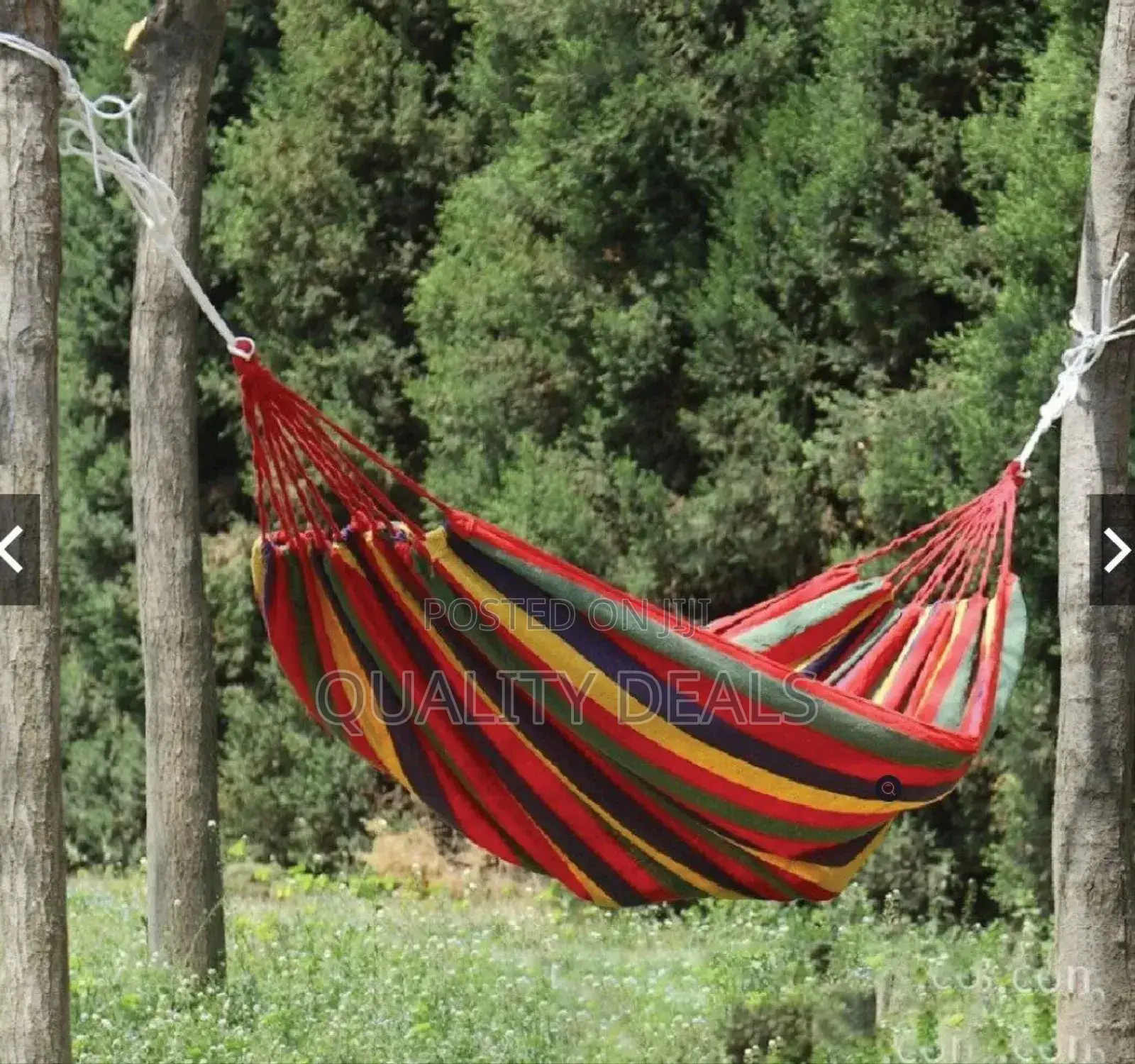 Camping Hammock