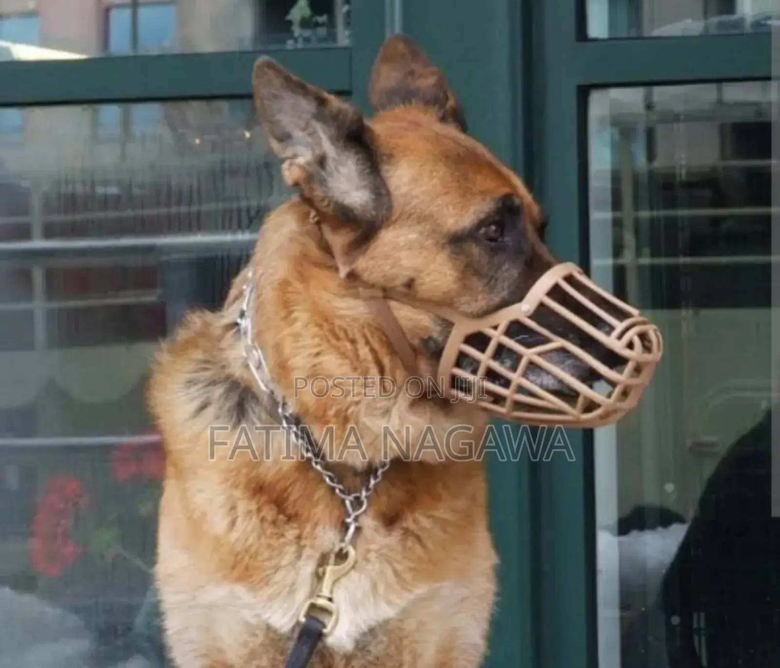 Dog Adjustable Plastic Muzzle