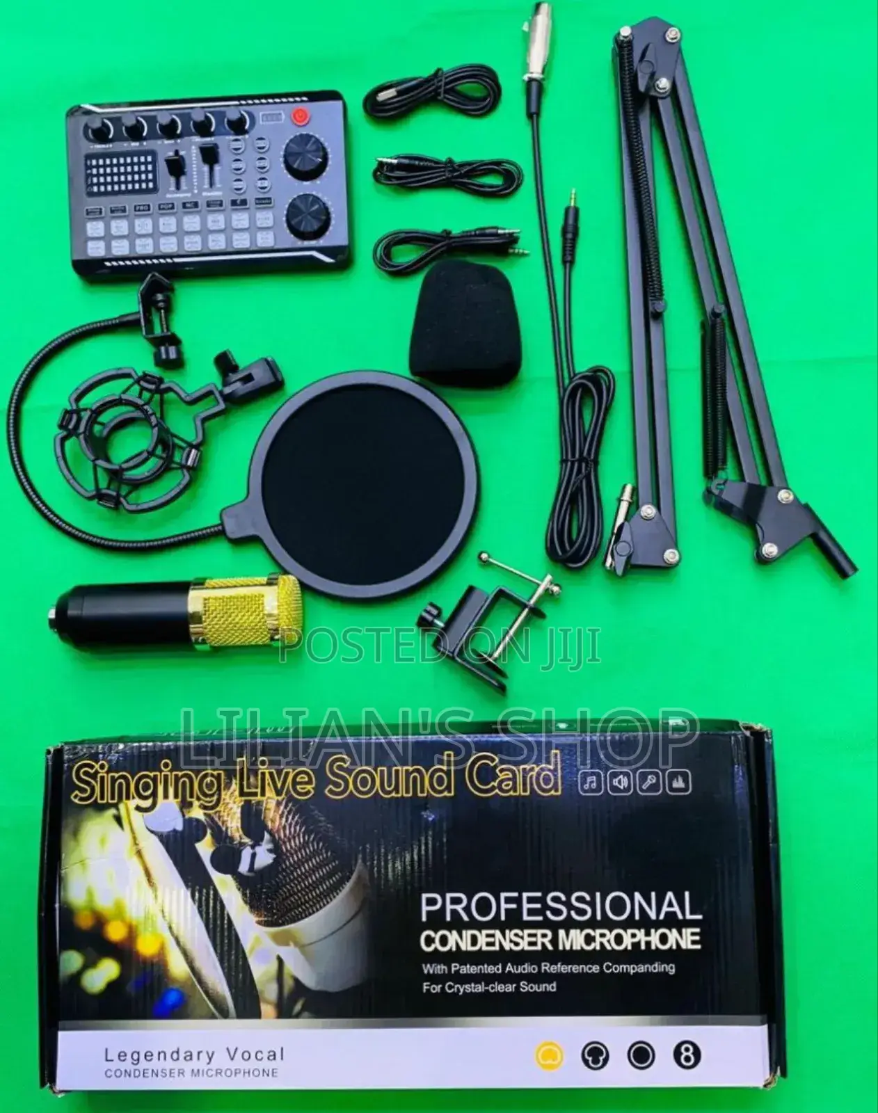 Legendary Vocal Professional Condenser Microphone