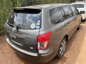 Toyota Corolla Fielder 2010 Gray