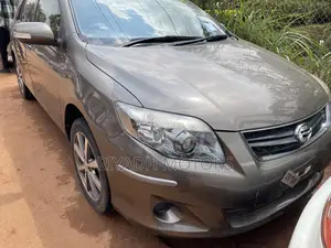 Toyota Corolla Fielder 2010 Gray