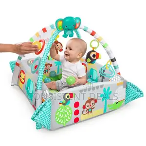 Baby Activity Gym and Ball Mat