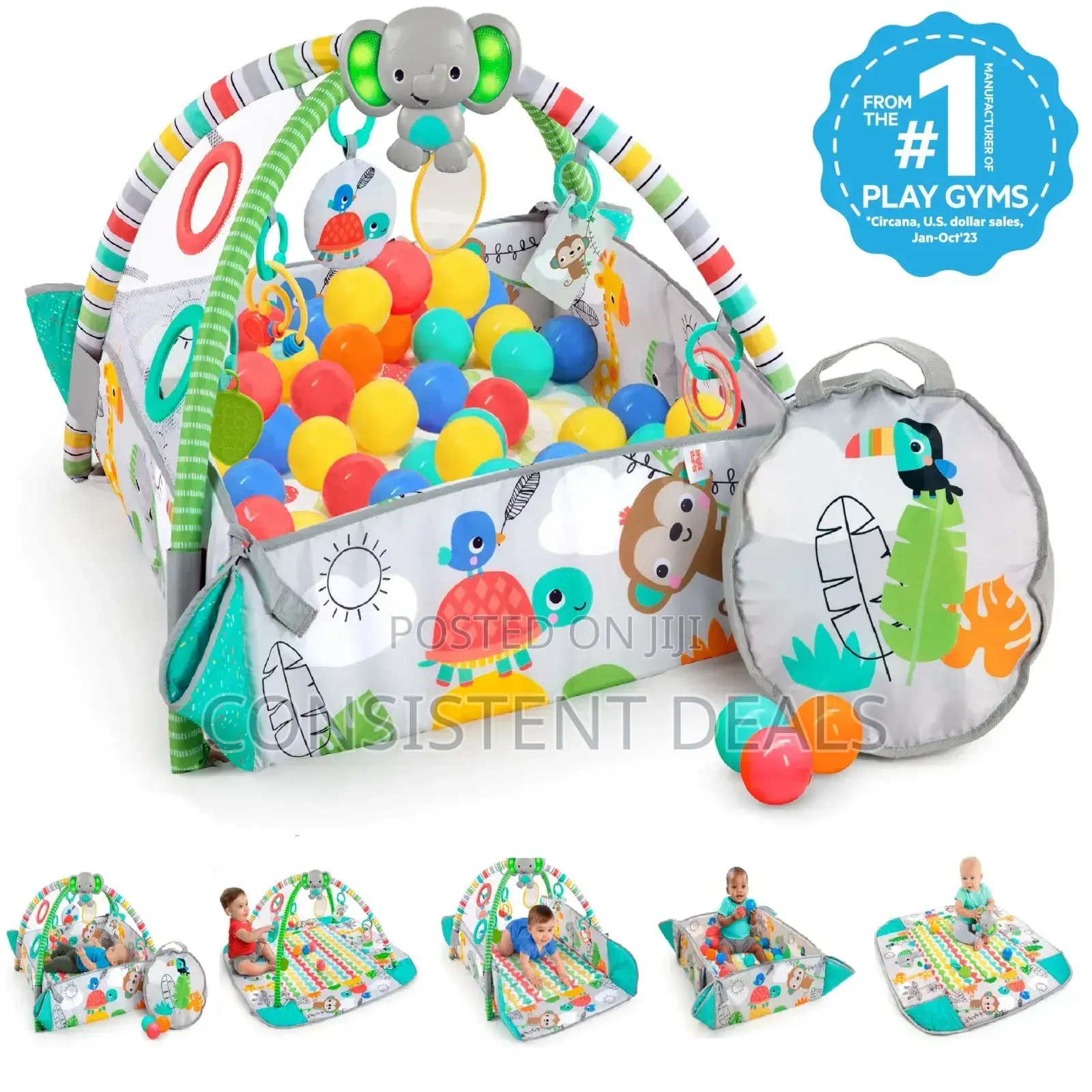 Baby Activity Gym and Ball Pit