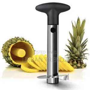 Easy Slice Pineapple Slicer/Peeler and Corer - Silver